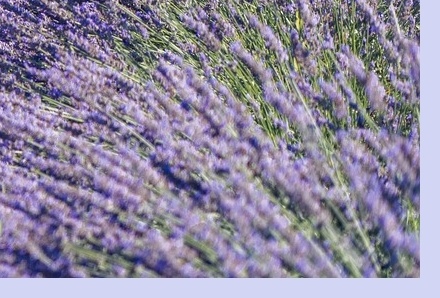 6월 국내 여행지 추천