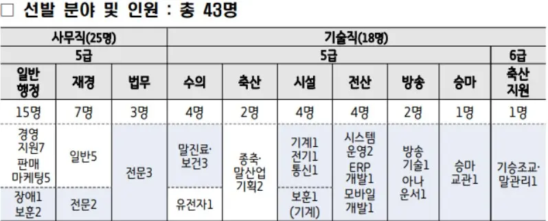 선발분야 채용 규모