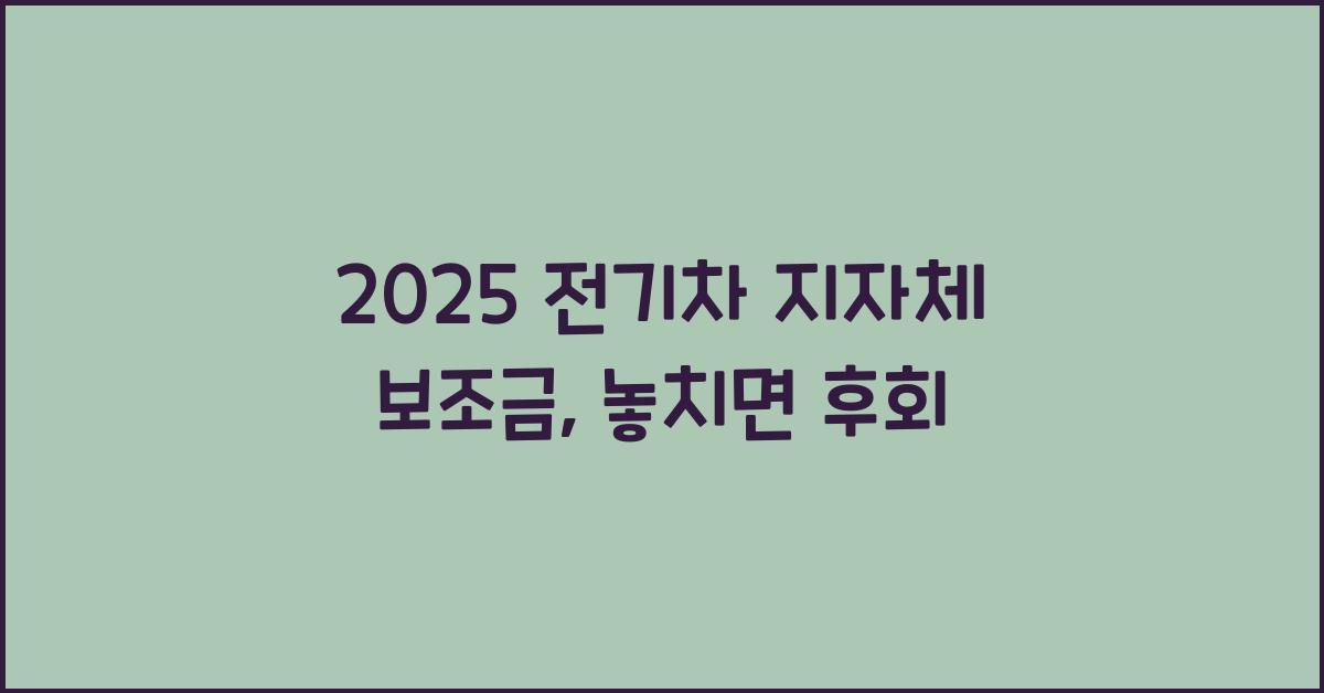 2025 전기차 지자체 보조금