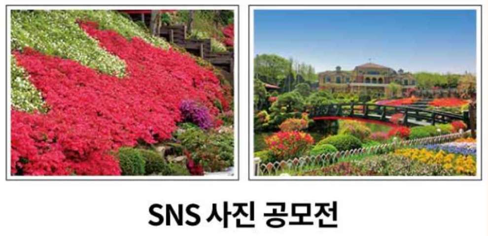 베어트리파크 철쭉제 봄과 철쭉