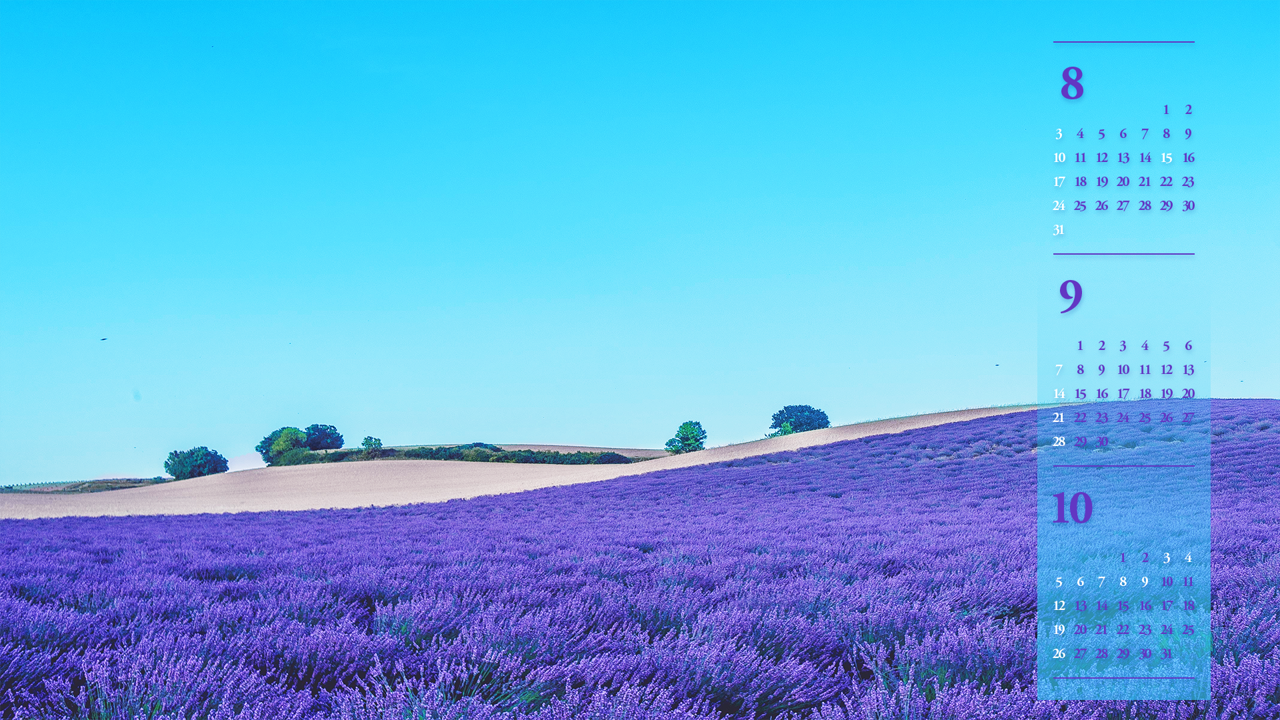 01 파란 하늘과 보라색 꽃 B - 2025년9월 노트북배경화면
