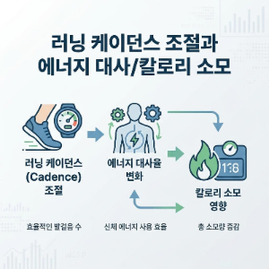 러닝 케이던스(Cadence) 조절이 에너지 대사율 및 칼로리 소모에 미치는 영향