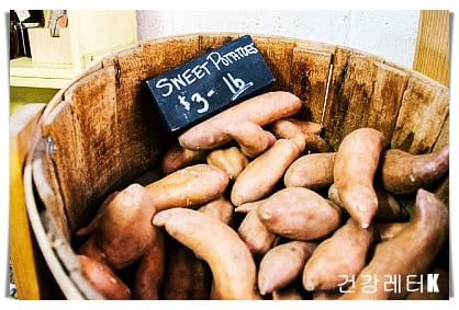 고구마 4