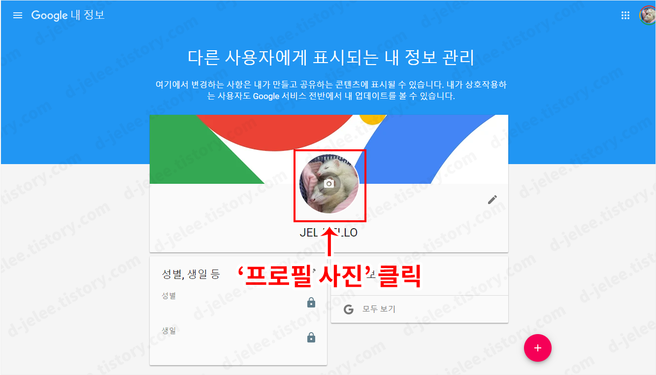 Google 내 정보 페이지 사진