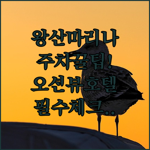 영종도 왕산마리나 공영주차장 이용 팁..