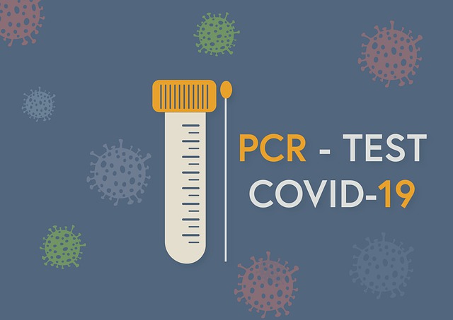 광주광역시 신속항원 검사 PCR 검사 동네 병원 의원3