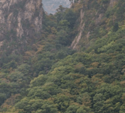 설악산 케이블카 요금