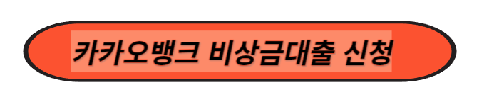 카카오뱅크 비상금대출 신청