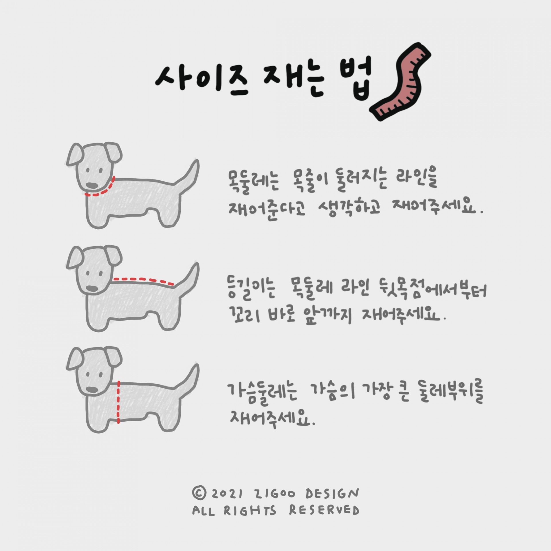 강아지 하네스 사이즈 고르는법 가슴둘레 측정