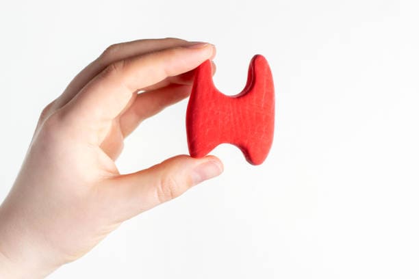 갑상선기능저하증 초기증상