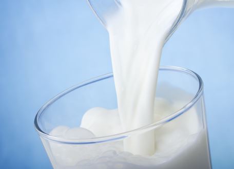 칼슘 많은 음식