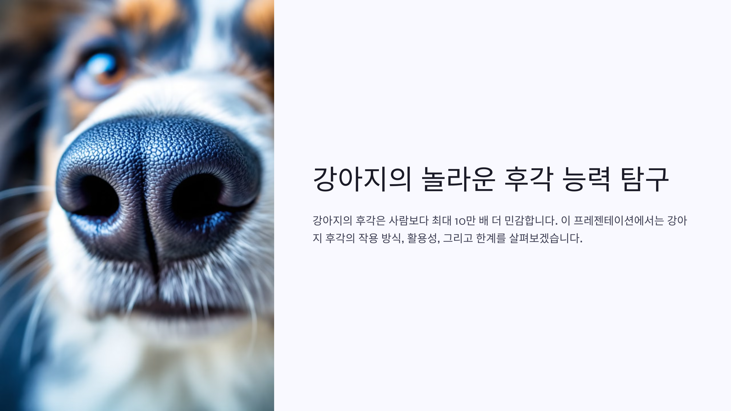 강아지의 후각 능력: 얼마나 뛰어난가?