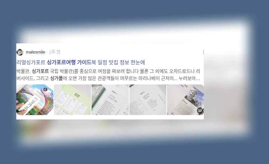 싱가포르 여행 가이드_3_subsection