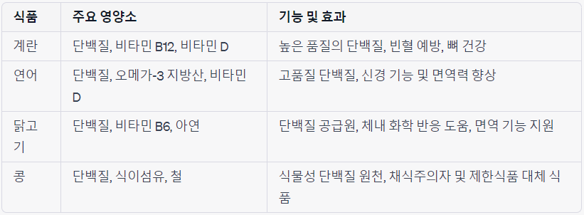 단백질 주요 영양소와 기능에 대해 상세히 표기 계란&#44;연어&#44;닭고기&#44;콩