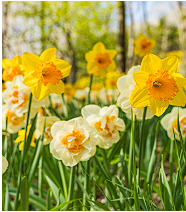 화담숲 예약 할인