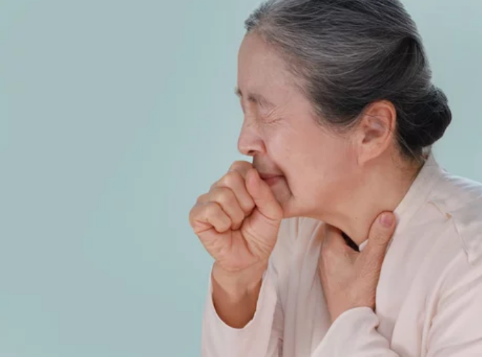 국산 잎들깨 품종 숨들, 호흡기 질환 개선 효과 입증