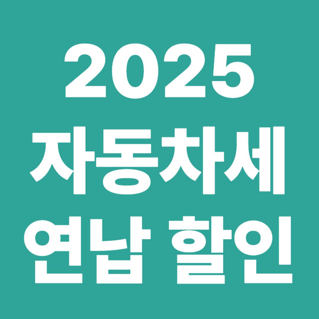 2025 자동차세 연납 할인 신청기한 할인율 주의사항