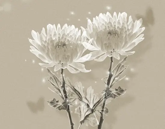 장례식장 조문예절