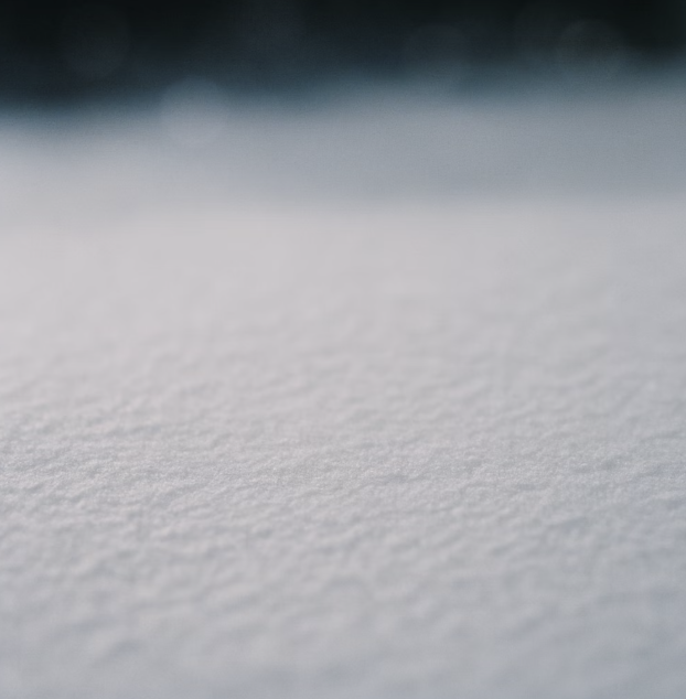 모든 디자인의 기본, 스노우지