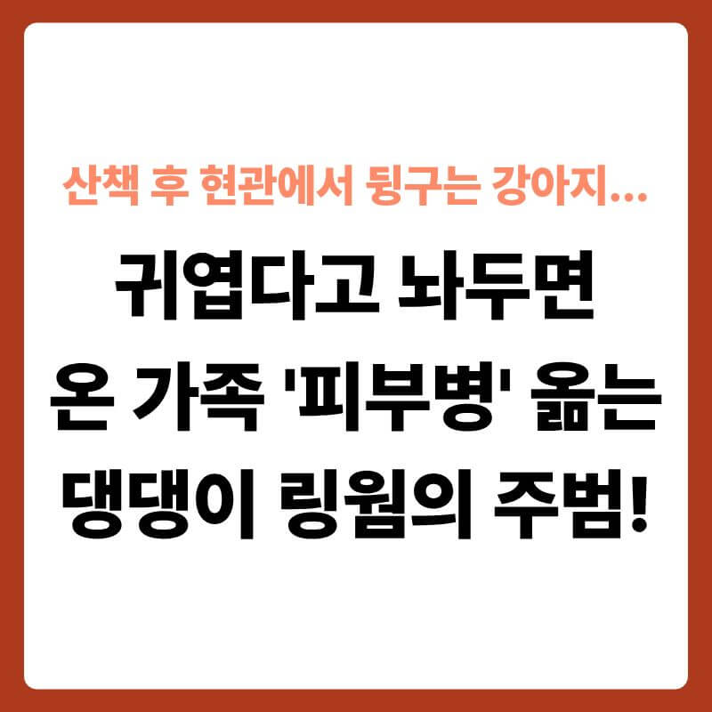 산책에서 돌아와 먼지가 묻은 현관 타일 바닥에 엉덩이를 대고 앉아 있는 강아지의 모습 옆으로, 타일 표면과 줄눈 틈새 내부가 투명한 3D 과학 그래픽으로 확대된 단면