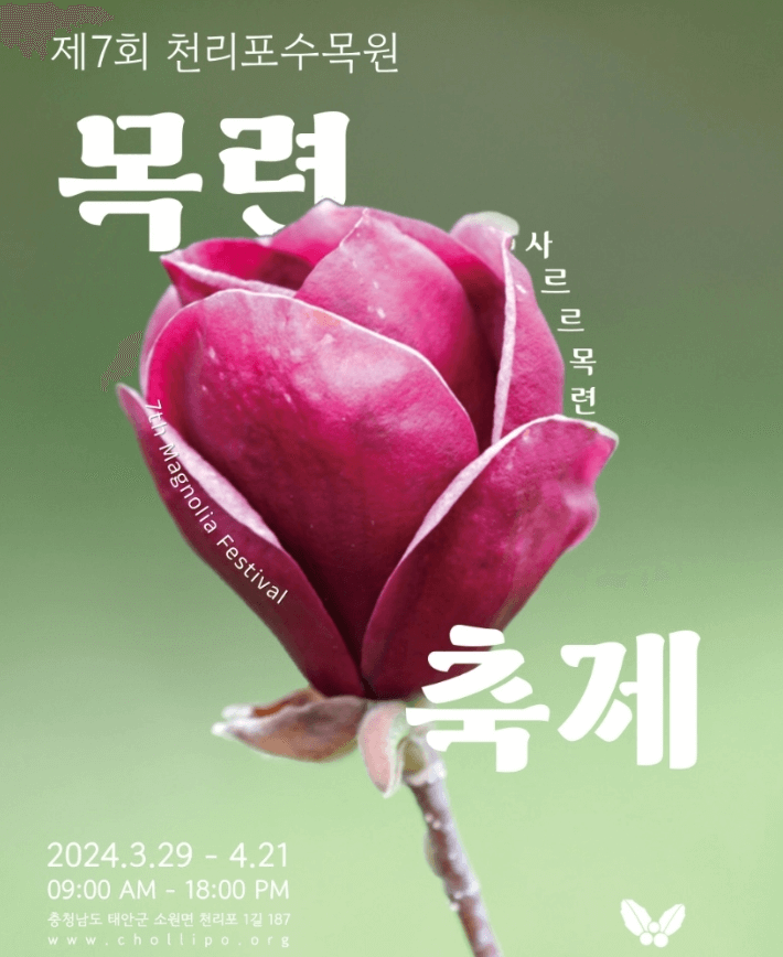 천리포수목원 목련축제