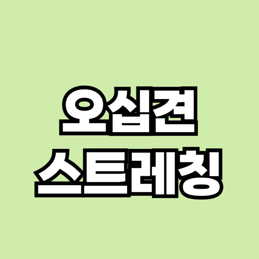오십견 스트레칭