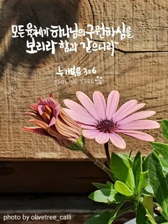 누가복음 3장 세례 요한의 전파 말씀 강해 준비_10