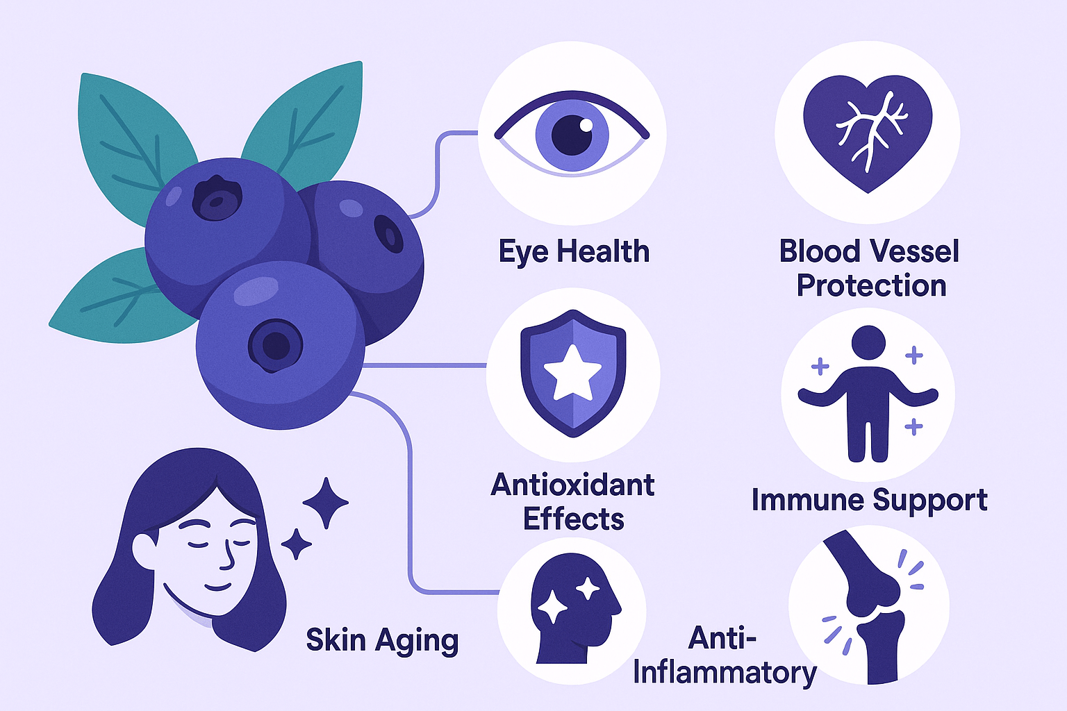 블루베리 안토시아닌의 6가지 효능