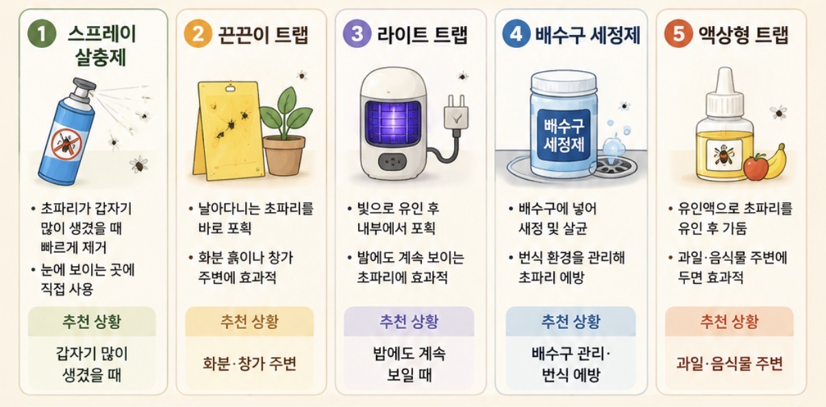 초파리 제거하는 상황별 추천 방법 인포그래픽