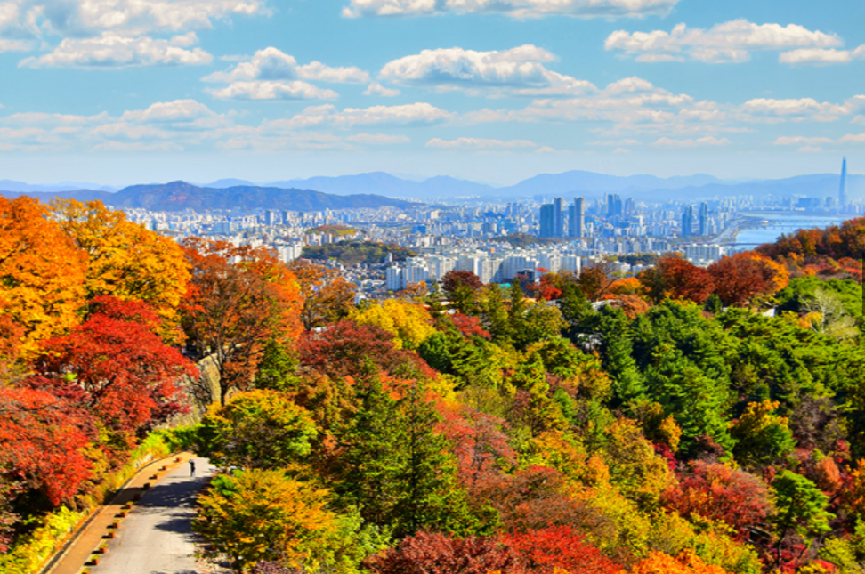 화담숲 홈페이지