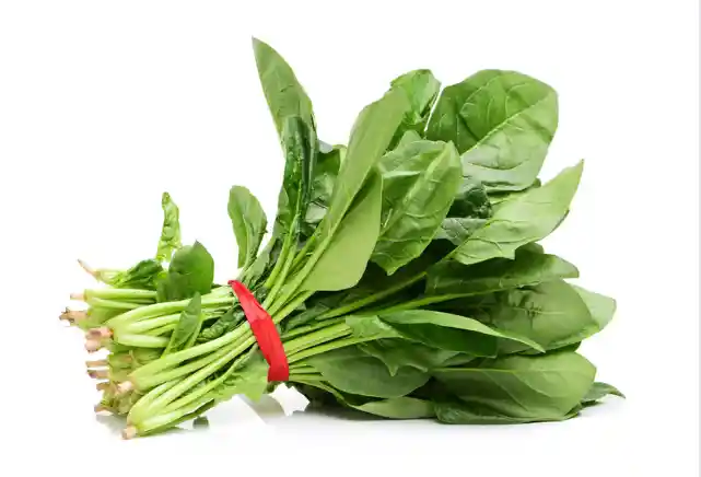 칼슘 많은 음식 Best 10, 칼슘 1일 섭취 권장량