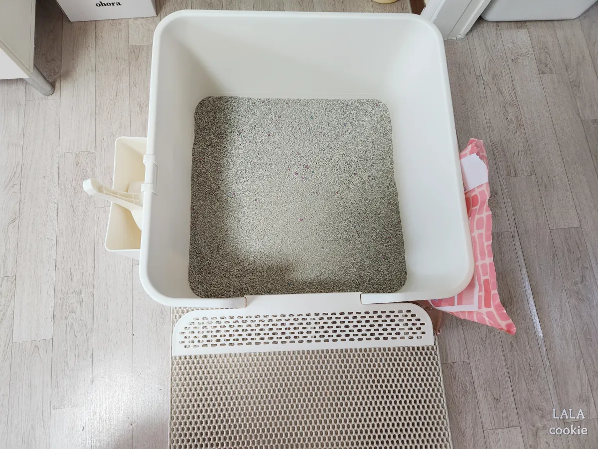 탐사-고양이-벤토나이트-모래-후기-고양이-화장실에-채워진-모래