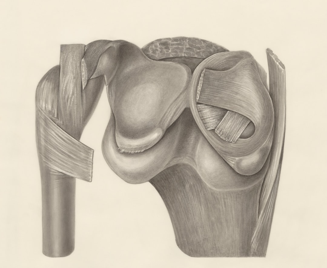Cartilage.