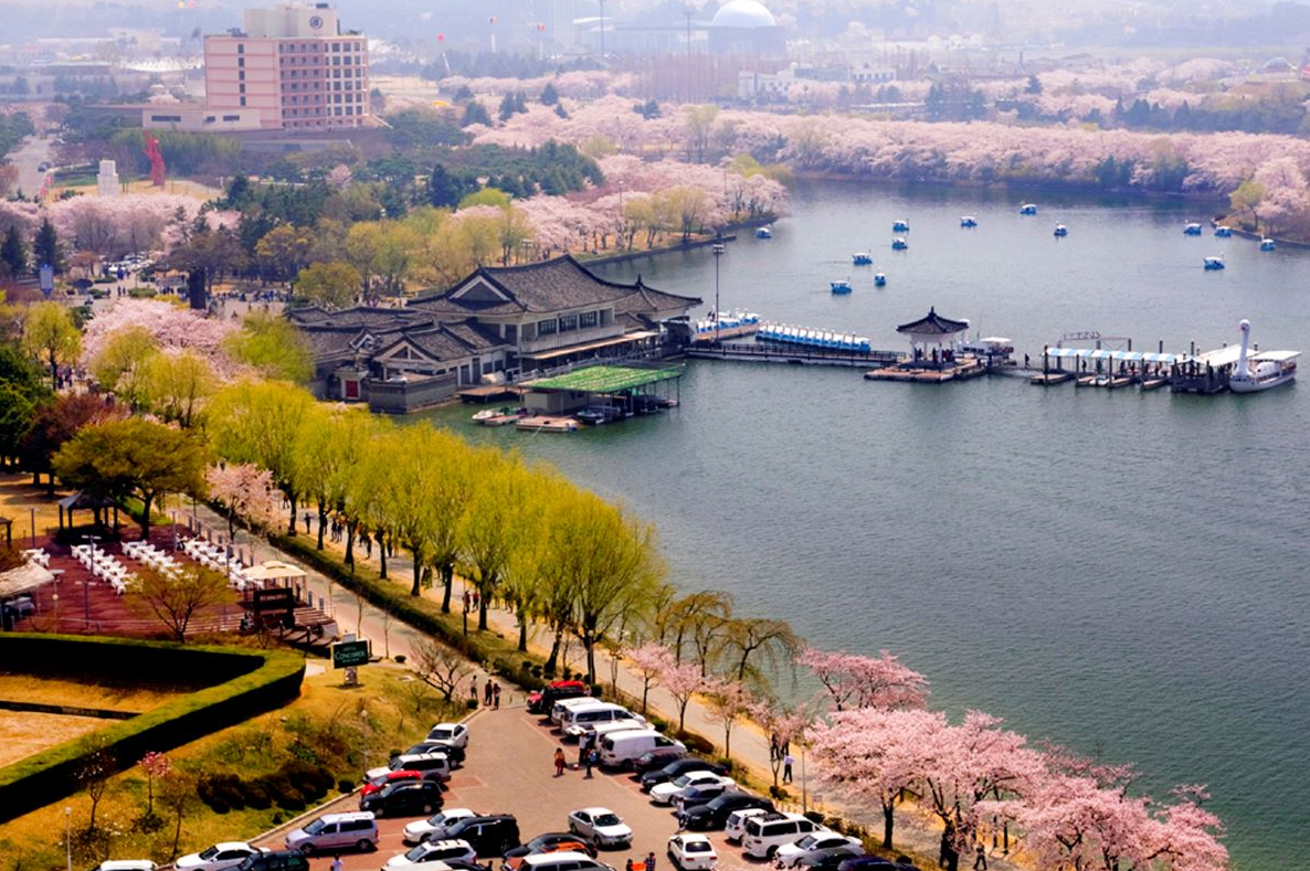 경북 벚꽃 명소