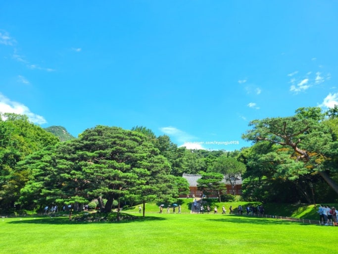 청와대 녹지원 관련 사진