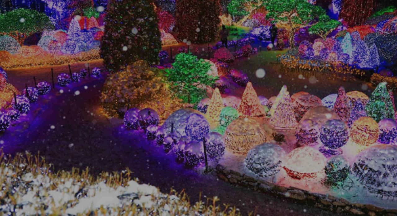 오색별빛정원전이 펼쳐진 아침고요수목원 산책길. [ⓒ아침고요수목원 공식 홈페이지]