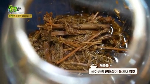 우물집