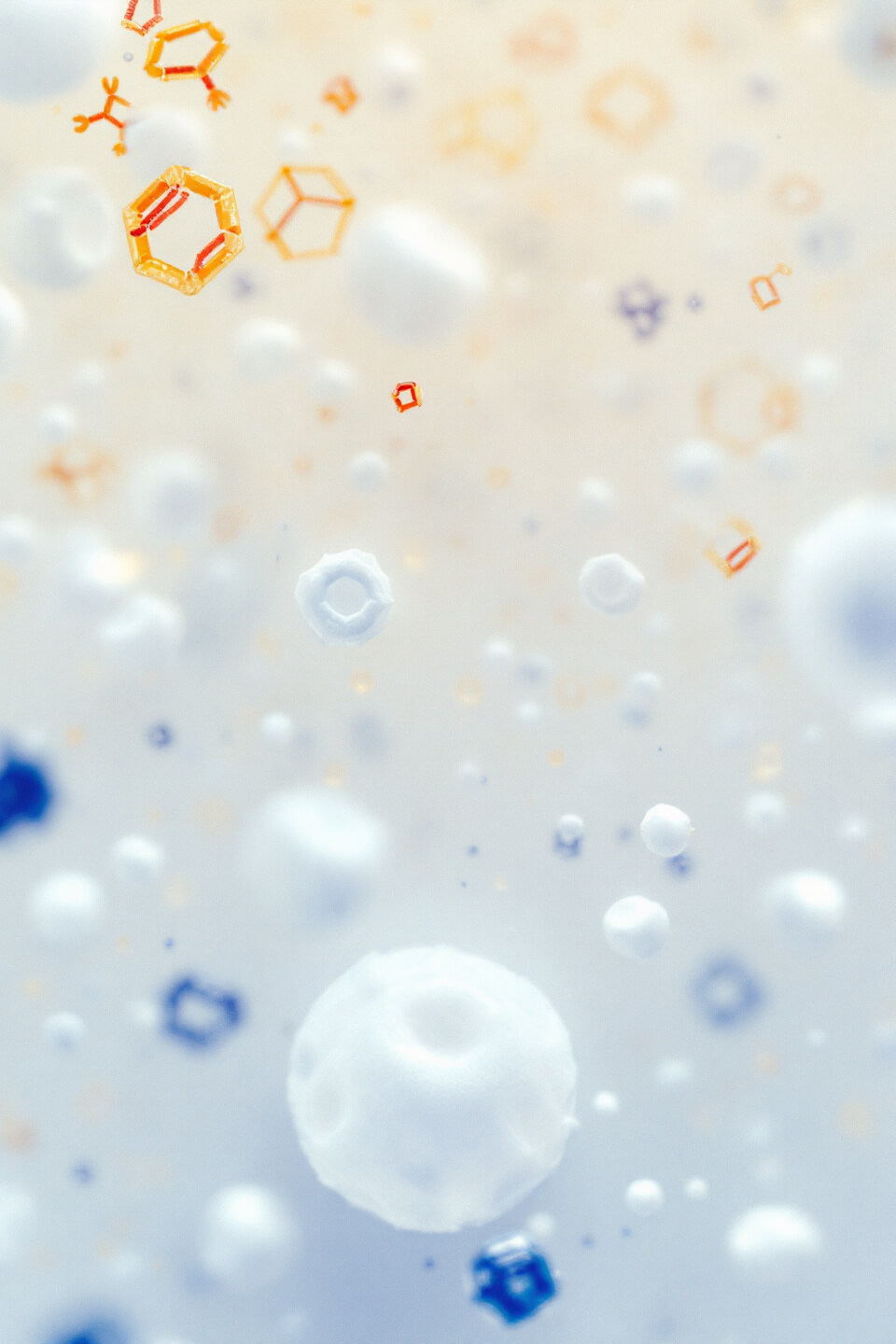 황기 사진입니다.