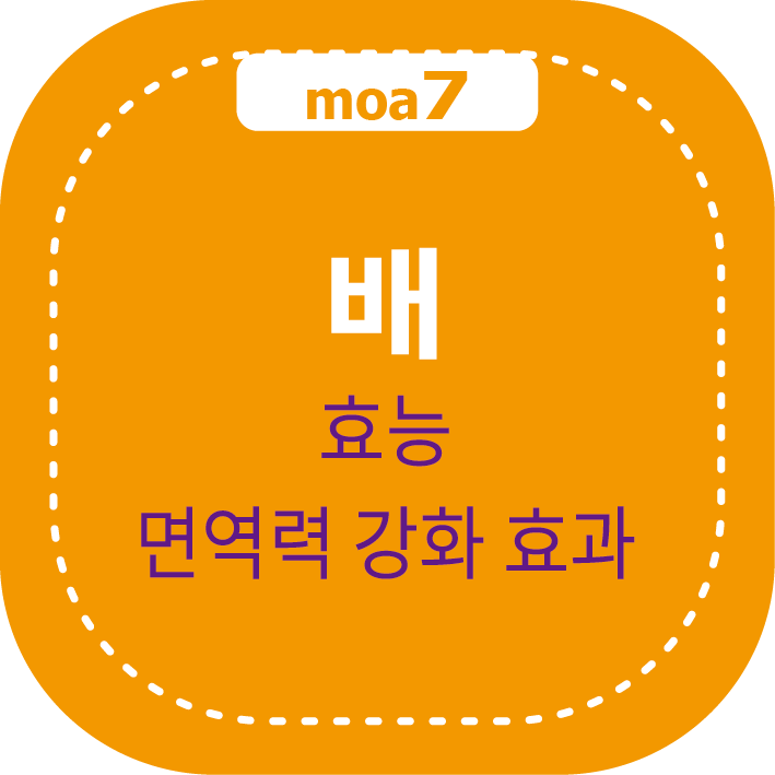 배 효능과 면역력 강화 효과