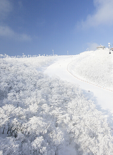 2025/2026 하이원리조트 스키장 시즌권 렌탈 할인 완벽 가이드
