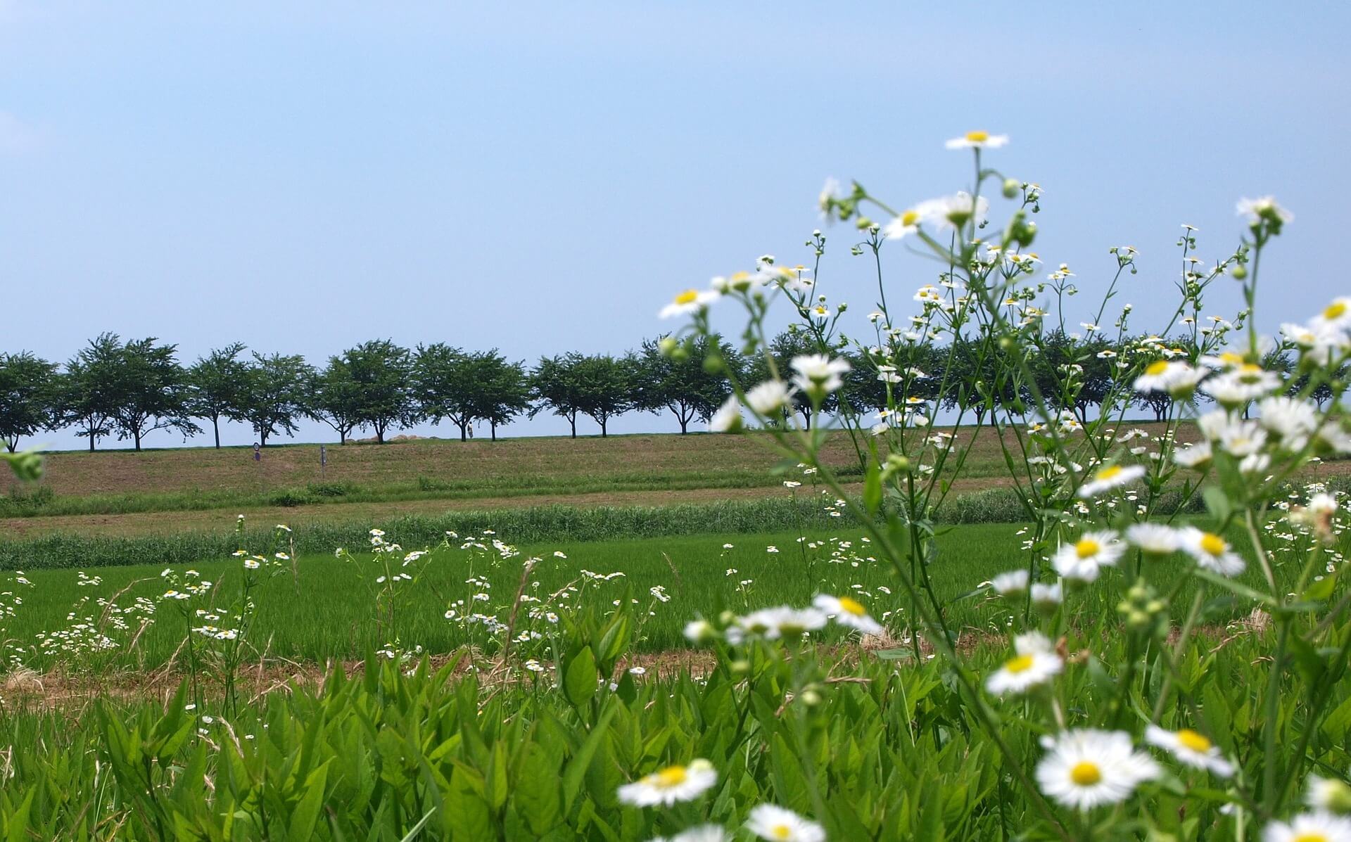 공익직불금 신청 방법 총정리 지급 대상·금액·신청기간 확인
