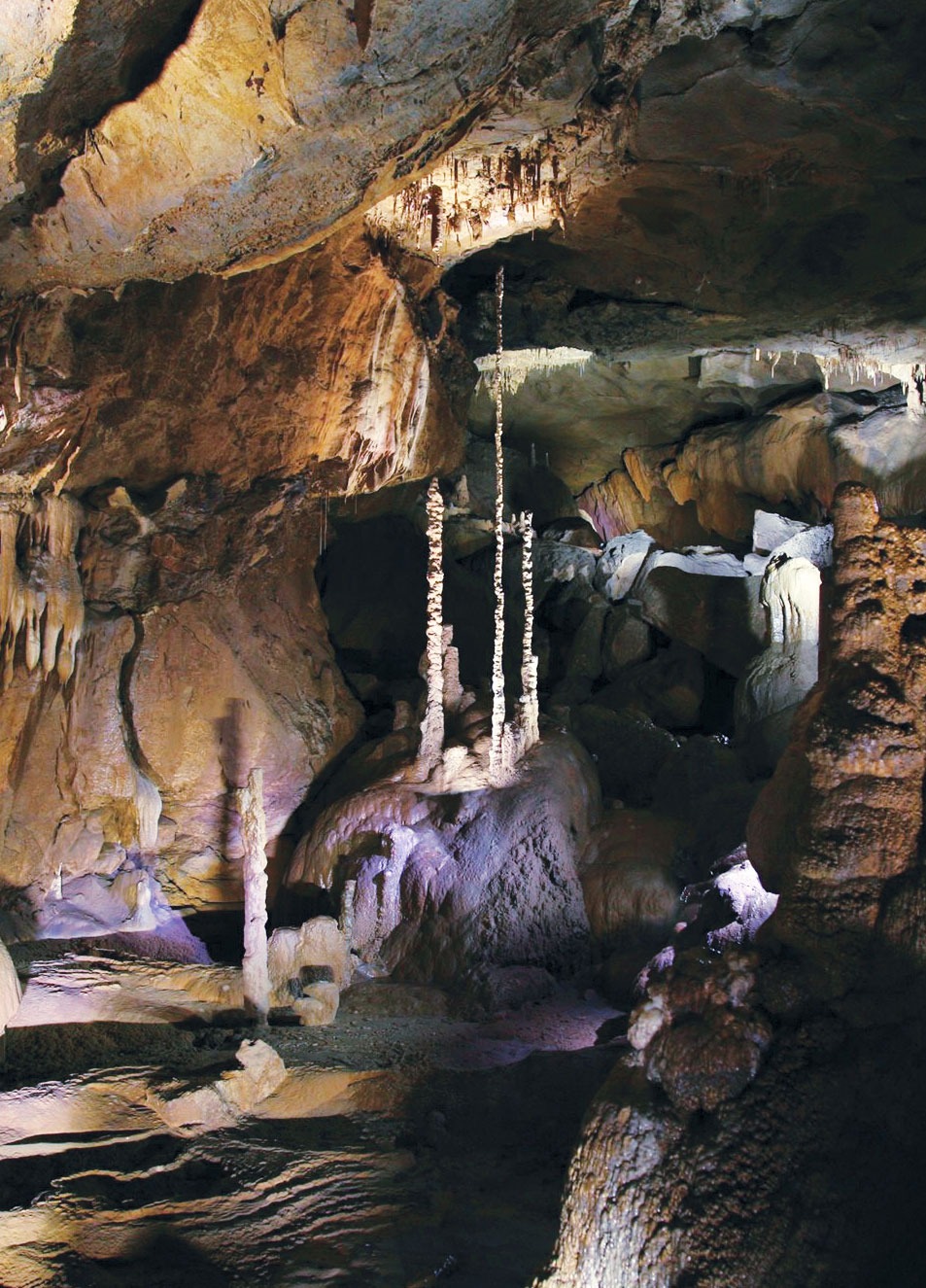 삼척 대금굴 예약 방법