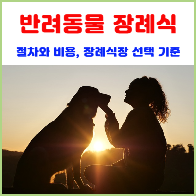 반려동물-장례식