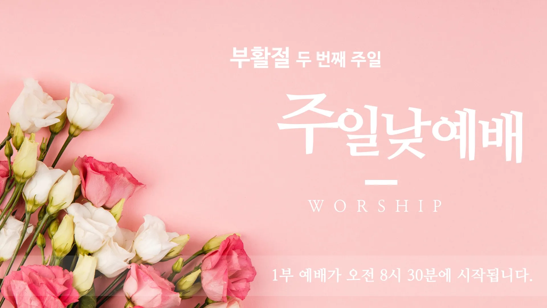 봄 주일예배 ppt 배경화면 꽃 이미지_7