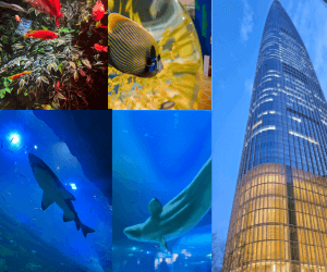 잠실 롯데 아쿠아리움