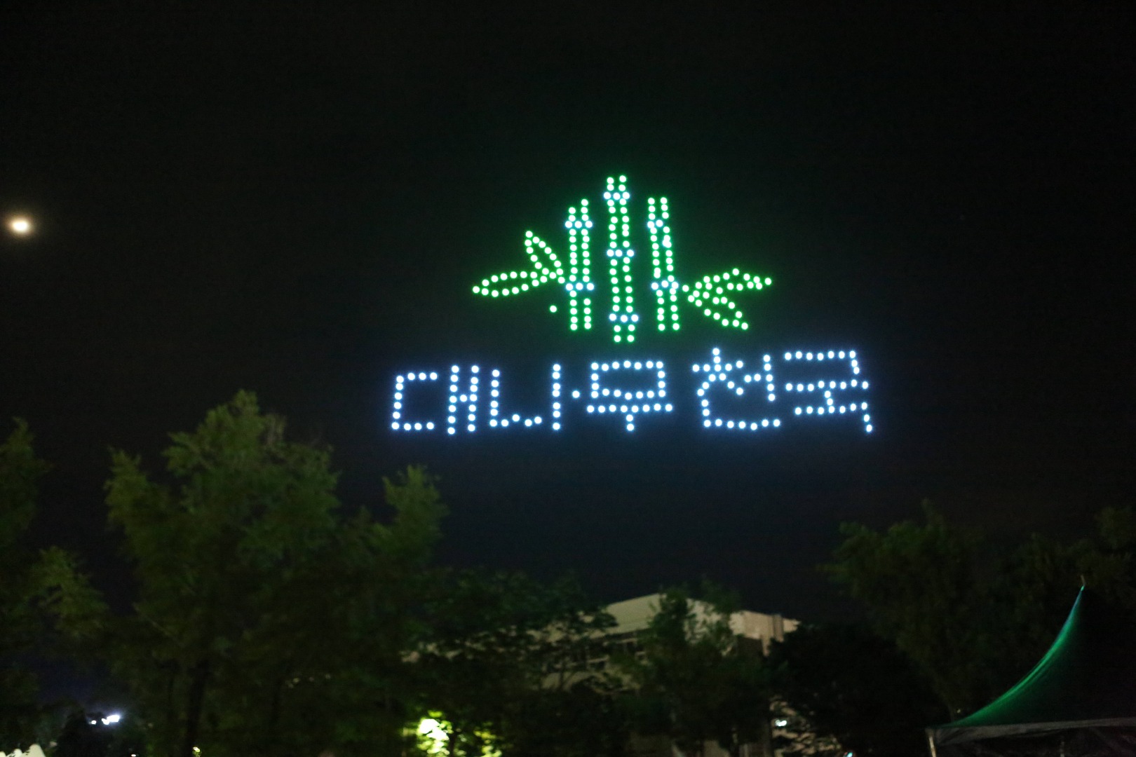 담양 대나무축제