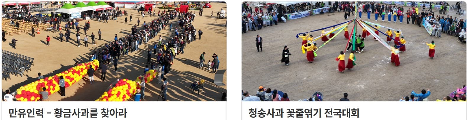 2025 청송 사과축제: 청정 자연 속에서 만나는 최고의 사과