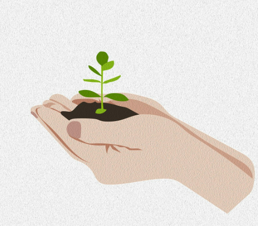 여름철 식물 관리 팁 더위와 해충 대처 법