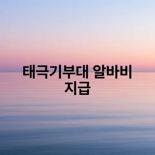 태극기부대 알바비 지급