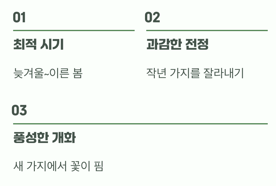 비결 4. 솜사탕 구름을 만드는 '가지치기'